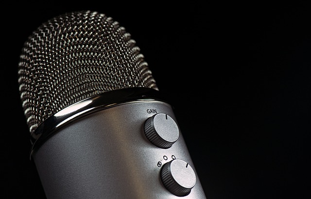 What Is Voice Over and Tips to Choose the Right One for Your Video 5